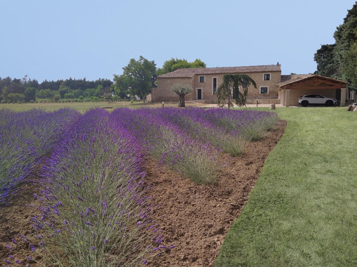 Mas Des Fugueyrolles Bed & Breakfast Cavaillon Eksteriør bilde