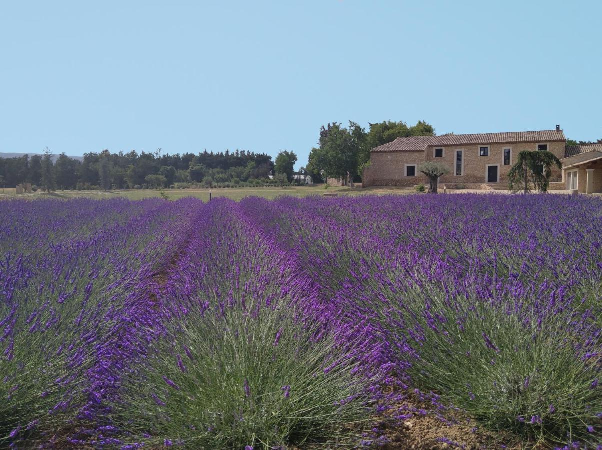 Mas Des Fugueyrolles Bed & Breakfast Cavaillon Eksteriør bilde